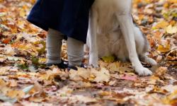 Featured image of post Introduction